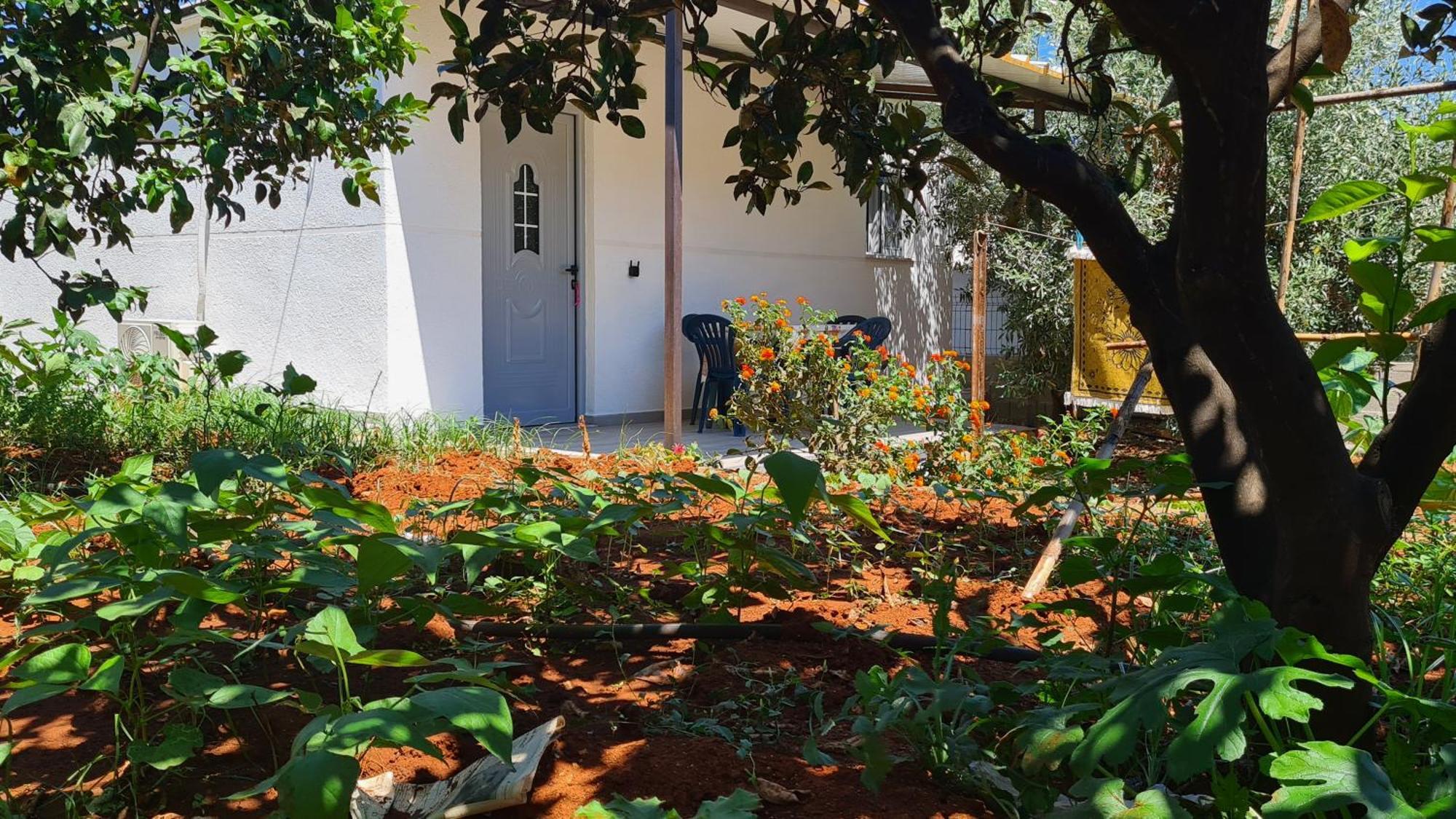 Villa Reshat Caca Ksamil Exterior photo